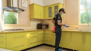 1 BHK Apartment pest control (excludes utensil removal)