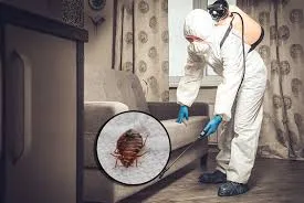 2 BHK Bed bugs control